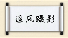 追风蹑影图片