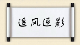 追风逐影图片