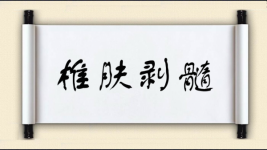椎肤剥髓图片