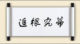 追根究蒂图片