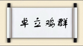 卓立鸡群图片