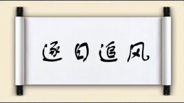 逐日追风图片