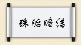 珠胎暗结图片