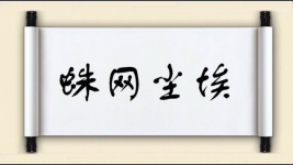 蛛网尘埃图片