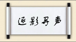 逐影寻声图片