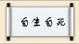 自生自死图片