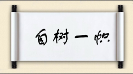 自树一帜图片