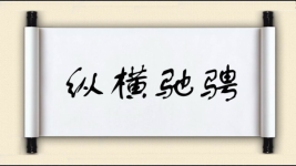 纵横驰骋图片