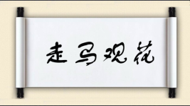 走马观花图片