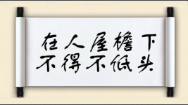 在人屋檐下，不得不低头图片