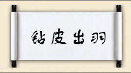 钻皮出羽图片