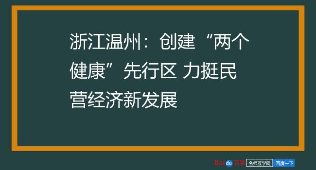 浙江温州：创建“两个健康”先行区 力挺民营经济新发展