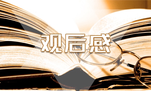 看交通安全视频观后感400字 看交通安全视频观后感400字