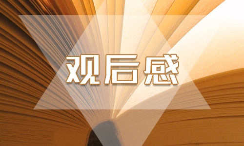 观看海底两万里名著观后感 观看海底两万里名著观后感