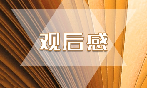 参观烈士陵园的个人观后感300字作文 参观烈士陵园的个人观后感300字作文