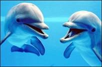 第三部分阅读理解 (满分30分)ASome scientists say that animals in the ocean are increasingly 第三部分阅读理解 (满分30分)ASome scientists say that animals in the ocean are increasingly