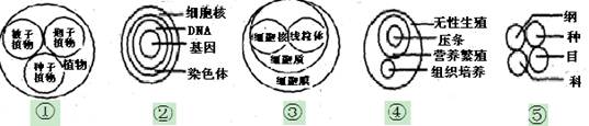 如下图示能正确表示各种概念之间关系的是A.①②③B.②③④C.③④⑤D.①④⑤ 如下图示能正确表示各种概念之间关系的是A.①②③B.②③④C.③④⑤D.①④⑤