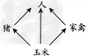 在一个以种植玉米为主,兼养猪、家禽和鱼的简单农田生态系统中,生物间存在如图所示的关系。(1)在此生态系统中,与人有关的食物链 在一个以种植玉米为主,兼养猪、家禽和鱼的简单农田生态系统中,生物间存在如图所示的关系。(1)在此生态系统中,与人有关的食物链