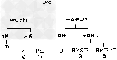 下图六种动物,请根据索引鉴别,并回答问题:根据动物体内有无________,可将动物分为脊椎动物和无脊椎动物两大类。图中①所代表的动 下图六种动物,请根据索引鉴别,并回答问题:根据动物体内有无________,可将动物分为脊椎动物和无脊椎动物两大类。图中①所代表的动