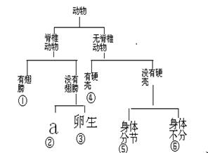 请你根据所学的知识,对蜗牛、麻雀、猫、蚯蚓、青蛙、海蜇这六种动物,根据图解回答:分别写出下列序号所代表的动物名称:①②③ ④⑤。在a处应填的特征是; 请你根据所学的知识,对蜗牛、麻雀、猫、蚯蚓、青蛙、海蜇这六种动物,根据图解回答:分别写出下列序号所代表的动物名称:①②③ ④⑤。在a处应填的特征是;