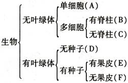 某校中学生物兴趣小组的同学收集到了部分生物图片(如图),请你按下列分类方法将这些生物分类,然后回答有关问题。(1)写出A—F中C、F所代表的生物名称。 C___ 某校中学生物兴趣小组的同学收集到了部分生物图片(如图),请你按下列分类方法将这些生物分类,然后回答有关问题。(1)写出A—F中C、F所代表的生物名称。 C___