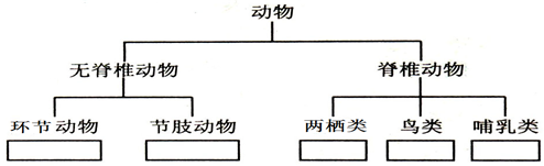 当我们走出教室,来到田野,会看到花丛中飞舞的蜜蜂,俏皮的麻雀,成群的绵羊.翻翻土,你还会看到蚯蚓和青蛙.你能运用我们学的生物学知识给这些动物分类吗?(请把答案填 魔方格