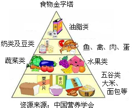 如图是我们正常人每天应摄取各类营养物质的食物金字塔.位于塔底的五谷类是人体每天应摄取最多的,它含有的营养素最多的一种是______,它主要为人体机体活动和 魔方格