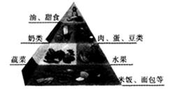 生活中处处有化学。化学促进了人类社会的发展、促进了人与自然和谐相处。⑴ 均衡营养有利健康。用图所示的食物填空:富含蛋白质的是____________ 生活中处处有化学。化学促进了人类社会的发展、促进了人与自然和谐相处。⑴ 均衡营养有利健康。用图所示的食物填空:富含蛋白质的是____________