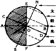 读图,回答下列问题:太阳光直射______线,纬度为______.图中下列直线表示赤道的是______.A.A-B线B.C-D线C.E-F线D.N- 魔方格