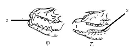 图中1是,3是, 图中1是,3是,