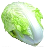 下列食物中,富含蛋白质的是A.B.C.D. 魔方格
