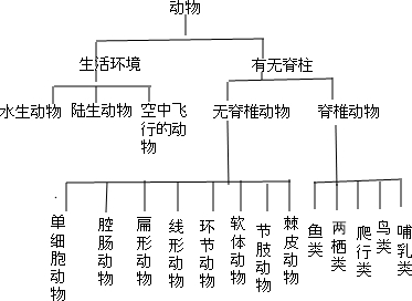 生物可分为动物界、植物界和其他几个界,其中动物界又可以划分为A.脊椎动物和无脊椎动物B.水中生活的动物、爬行类、鸟类、哺乳类C.环节动物、节肢动物、鱼类 魔方格