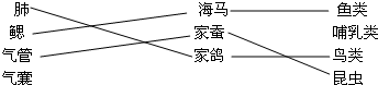 海马、家蚕、家鸽三种生物气体交换的结构分别是什么?以及它们属于哪类生物?请你通过连线来表示。肺海马鱼类鳃家蚕哺乳类气管家鸽鸟类气囊节肢动物 海马、家蚕、家鸽三种生物气体交换的结构分别是什么?以及它们属于哪类生物?请你通过连线来表示。肺海马鱼类鳃家蚕哺乳类气管家鸽鸟类气囊节肢动物