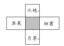 观察下图,阴影部分表示图中4种生物的共同特征,这一特征是A.都能进行营养生殖B.都能进行出芽生殖C.都能进行无性生殖D.都能进行有性生殖 观察下图,阴影部分表示图中4种生物的共同特征,这一特征是A.都能进行营养生殖B.都能进行出芽生殖C.都能进行无性生殖D.都能进行有性生殖