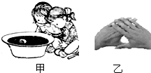 2009年7月22日上午,在我国部分地区能观察到日全食.观测日全食时不能用肉眼直接对着太阳,如果没有专用的太阳滤镜,可采用如图所示的两种简便方法:如图甲所示,准 魔方格
