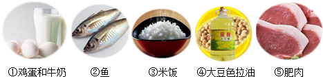 请写出下图食品中富含的营养素的名称:①和②______;③______;④和⑤______. 魔方格