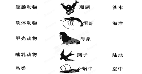 请你连线,将中间一列动物与其左边所属类别连起来并为它们寻找自己的家园. 请你连线,将中间一列动物与其左边所属类别连起来并为它们寻找自己的家园.