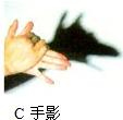 下列图的四个现象中,能用光的反射解释的是A.B.C.D. 魔方格