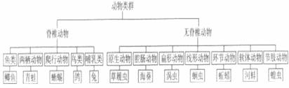 下面是生活中常见的五种生物,请结合所学知识回答问题:,属于脊椎动物的是 _______。(2) 下面是生活中常见的五种生物,请结合所学知识回答问题:,属于脊椎动物的是 _______。(2)
