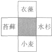 观察如图,阴影部分表示四种植物的共同特征,这些特征包括A.都具有植物细胞的基本结构B.绿色部分含有叶绿体,都能进行光合作用C.都有根、茎、叶的分化D.都