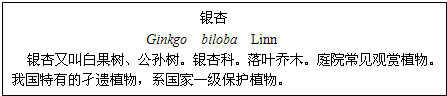 下面是某同学在植物园里面看到的一棵大树的标牌.你能帮助他解释其中的含义吗?标牌上“银杏”是植物的名称,标牌上的外文是______文,Ginkgo是此植物的 魔方格