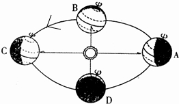 读地球公转示意图,回答下列问题在图中用箭头标出地球公转方向.当地球公转到B位置时,正值北半球的______,此时阳光直射在______.(3 魔方格