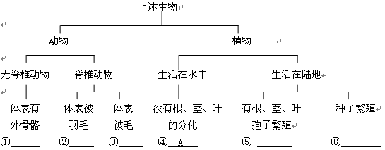 下列十大家熟悉的动物和植物,请根据索引鉴别,并将其代号写在相应的位置: 下列十大家熟悉的动物和植物,请根据索引鉴别,并将其代号写在相应的位置: