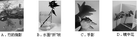 如图所示的四种现象中,由于光的直线传播形成的是 如图所示的四种现象中,由于光的直线传播形成的是