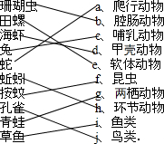 把下列每种动物与其所属的门或纲用配对起来.珊瑚虫a、爬行动物田螺b、腔肠动物海虾c、哺乳动物兔 d、甲壳动物蛇e、软体动物蚯蚓f、昆虫按蚊g、两栖动物孔雀h、环 魔方格
