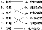 请把下列动物与它们所属的类别以及主要特征分别用线连起来.A、蛔虫 a、线性动物B、海蜇 b、扁形动物C、涡虫 c、腔肠动物D、龙虾 d、环节动物E、蚯蚓 e、节 魔方格