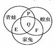 下图圆圈表示生物本身具有的特点, 重合部分表示它们的共同特点, 下列观点不正确的是A.P可以表示用皮肤辅助呼吸B.Q可以表示生态系统的消费者C.E可以表示体内有 下图圆圈表示生物本身具有的特点, 重合部分表示它们的共同特点, 下列观点不正确的是A.P可以表示用皮肤辅助呼吸B.Q可以表示生态系统的消费者C.E可以表示体内有