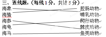 连线题:海象腔肠动物海蛰哺乳动物海参爬行动物海龟棘皮动物海马鱼类动物 连线题:海象腔肠动物海蛰哺乳动物海参爬行动物海龟棘皮动物海马鱼类动物