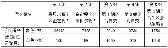 鸭蛋蛋壳的颜色主要有青色和白色两种。金定鸭产青色蛋,康贝尔鸭产白色蛋。为研究蛋壳颜色的遗传规律,研究者利用这两个鸭群做了五组实验,结果如下表所示。 鸭蛋蛋壳的颜色主要有青色和白色两种。金定鸭产青色蛋,康贝尔鸭产白色蛋。为研究蛋壳颜色的遗传规律,研究者利用这两个鸭群做了五组实验,结果如下表所示。