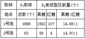 科研人员用黑色鲤鱼(简称黑鲤)和红色鲤鱼(简称红鲤)杂交.F1皆表现为黑鲤,F1相互交配的结果见下表。据此分析下列叙述错误的是 科研人员用黑色鲤鱼(简称黑鲤)和红色鲤鱼(简称红鲤)杂交.F1皆表现为黑鲤,F1相互交配的结果见下表。据此分析下列叙述错误的是